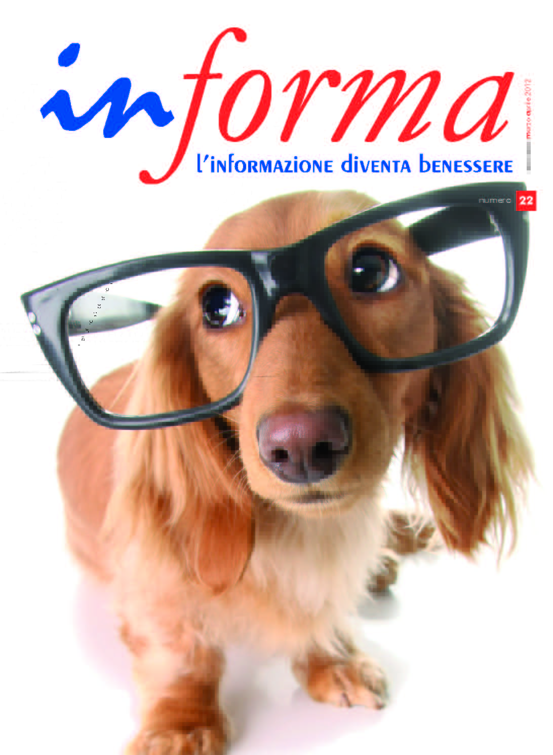 La copertina rappresenta su uno sfondo bianco in primo piano un cane marrone con il muso allungato su cui poggiano un paglio di occhiali con montatura nera, che risultano molto piu' grandi del muso del cane